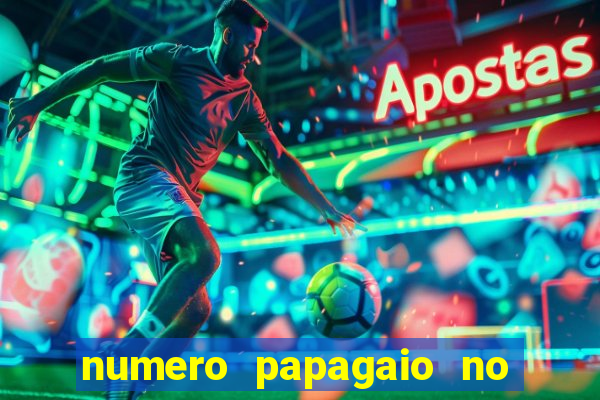 numero papagaio no jogo do bicho